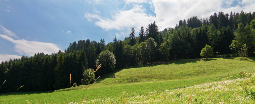 wiese und himmel